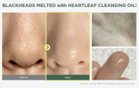 [ANUA] Heartleaf Pore Control Cleansing Oil 200ml Korean Skincare